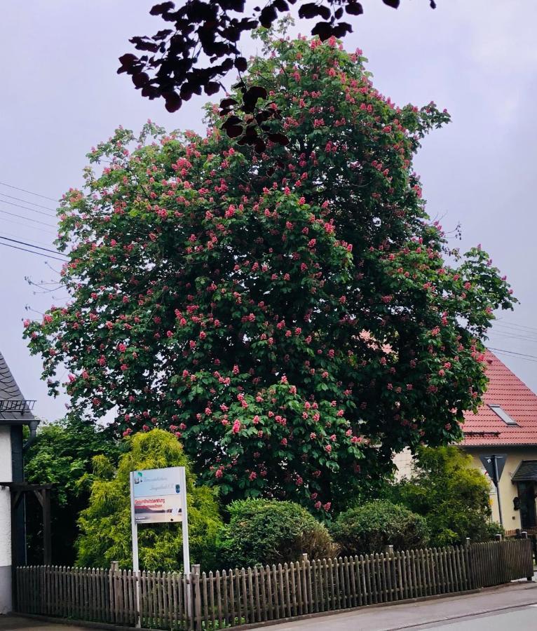 Gemuetliche Fewo Naehe Hachenburg, Bad Marienberg Apartment Langenbach bei Kirburg Luaran gambar